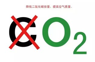 夜晚关窗睡觉原来危害这么大